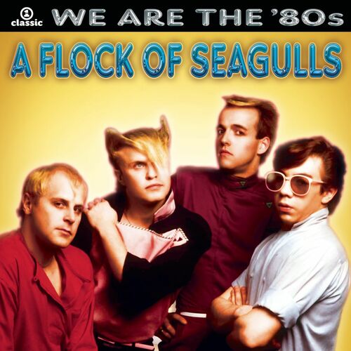 A Flock of Seagulls